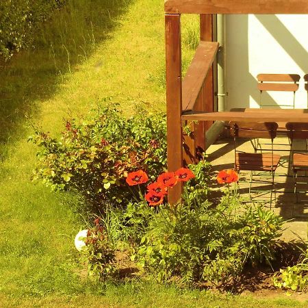 Hotel Kranichblick Kluis المظهر الخارجي الصورة